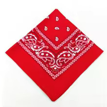 Bandana paisley neck head - paisley,